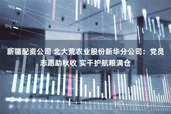 新疆配资公司 北大荒农业股份新华分公司：党员志愿助秋收 实干护航粮满仓